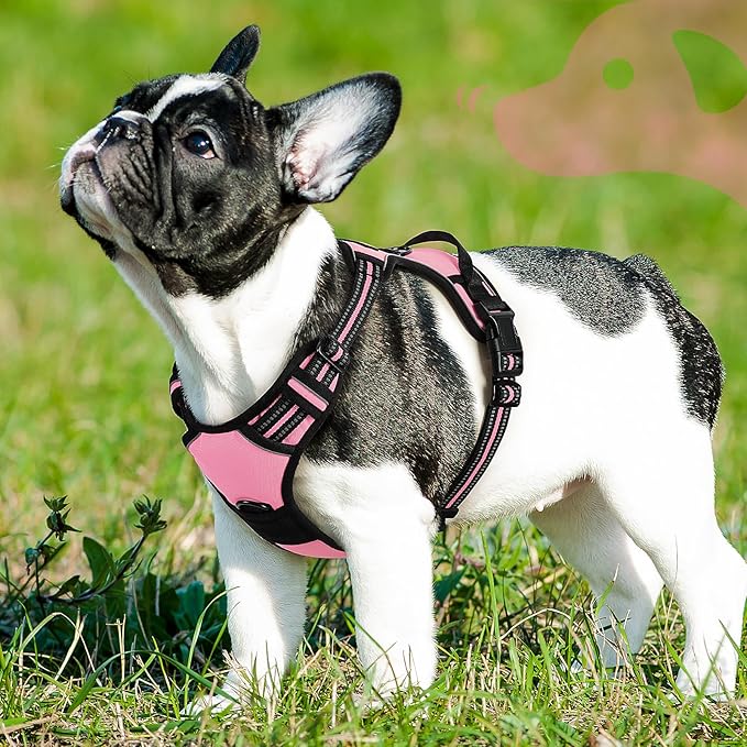Eagloo Dog Harness Small Sized Dog, No Pull Service Vest with Reflective Strips and Control Handle, Adjustable and Comfortable for Easy Walking, No Choke Pet Harness with 2 Metal Rings, Pink, S-Mewly Pet