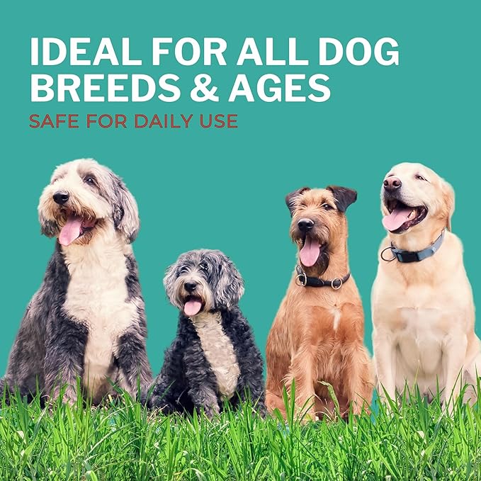 Shoo! Flea & Tick Spray for Dogs and Home | Plant Based, Natural Oils, Chemical Free Formula | Kills, Repels, Prevents | 16 oz (Floral Bliss)-Mewly Pet