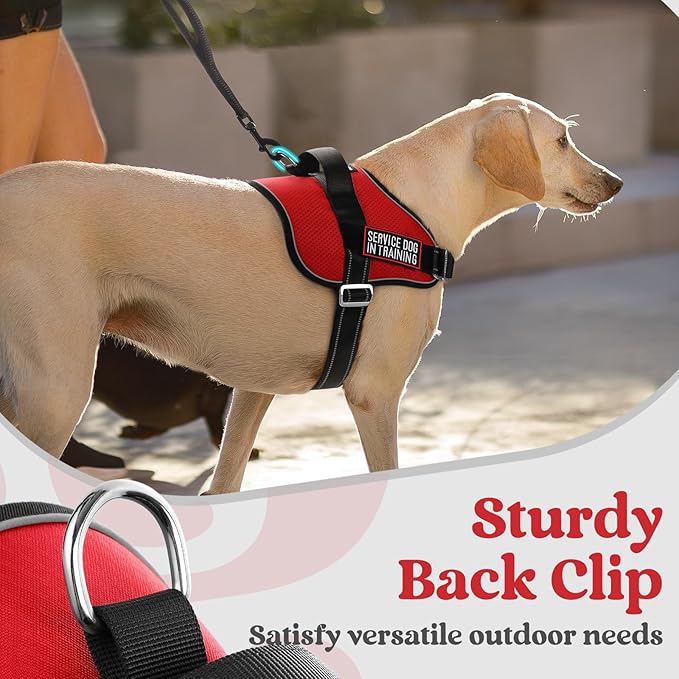 rabbitgoo Dog Harness for Small, Easy On Pet Vest with One Buckle, No Pull Adjustable Service Harness with D-Ring & Handle, Reflective for Safety Walking, Training, Red, S-Mewly Pet