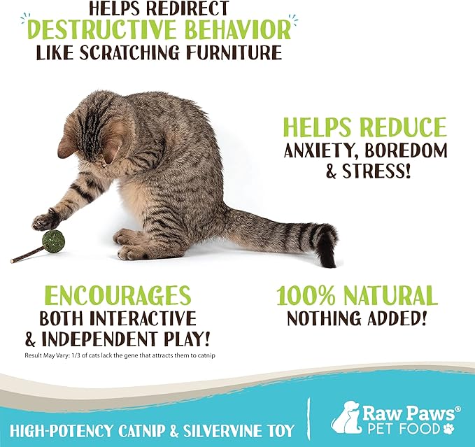 Raw Paws Catnip & Silvervine Lollipops Interactive Cat Toy (6 Pack) - Silvervine Sticks for Cats - Catnip Ball Toy - Fresh Cat Nip - Silver Vine Dental Sticks-Mewly Pet