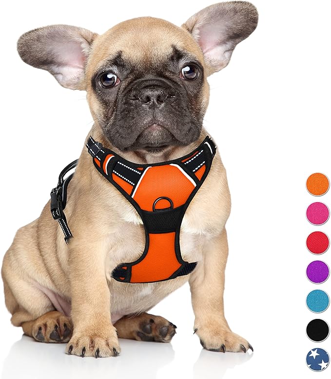 BARKBAY No Pull Dog Harness Large Step in Reflective Dog Harness with Front Clip and Easy Control Handle for Walking Training Running(Orange,S)-Mewly Pet