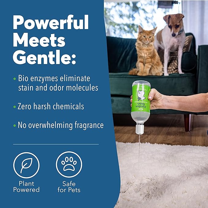 Dog & Cat Urine Stain and Odor Eliminator for Carpet, Upholstery, Hard Floors - 2-Pack 32 oz., Grapefruit & Thyme Scent, Enzyme Bio-Active Formula with Squeeze and Spray Top-Mewly Pet
