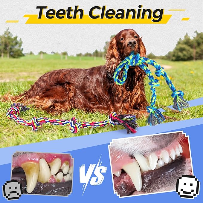 Heavy Duty Dog Rope Toys for Aggressive Chewers, Tough Tug of War Dog Toys for Large, Medium & Small Dogs – 5 Pack Including 2 Ropes & 3 Supplies-Mewly Pet