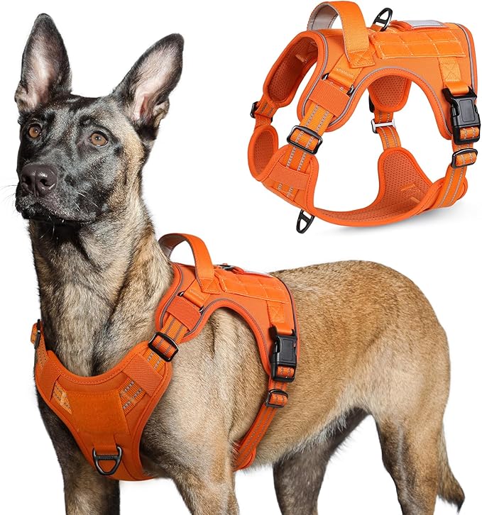 rabbitgoo Tactical Dog Harness for Large Dogs, No Pull Military Service Vest with Handle & Molle, Easy Control for Training Walking, Adjustable Reflective Straps, Orange, L-Mewly Pet