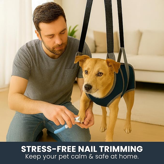 Pet Grooming Hammock Kit for Dogs & Cats, Includes Hammock Harness, Nail Clippers, Nail File, Grooming Glove, Dematting Comb, S-Hooks, Carabiners & Storage Bag for Easy Home Grooming Medium (86×52) cm-Mewly Pet