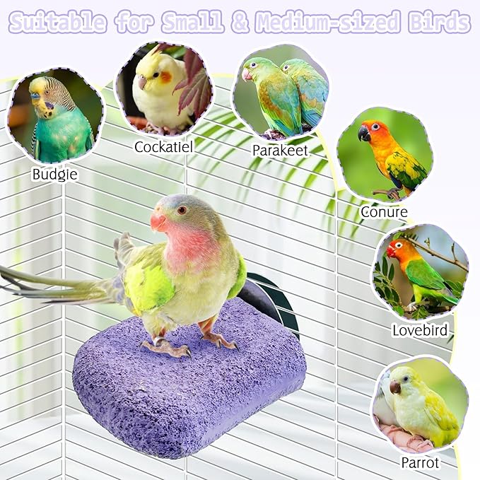 PINVNBY 5 Pack Bird Perch Resin Bird Beak Grinding Stone Parrot Cage Perch Stand Platform Foot Claws Trimmer Chew Toy Bird Cage Accessories for Budgie Cockatiel Conure Lovebird Finch (Purple)-Mewly Pet