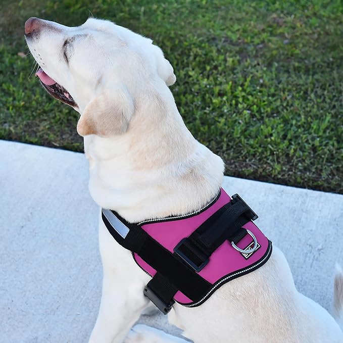 Dogline Reflective No-Pull Adjustable Vest with Handle for Walking, Training, Service Breathable No - Choke Harness for Small, Medium or Large Dogs Room for Patches Girth 15 to 18 in Pink-Mewly Pet