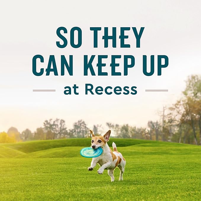 VetIQ Glucosamine Hip & Joint Supplement for Dogs, 180 Soft Chews, Dog Joint Support Supplement with MSM and Krill, Dog Health Supplies Large & Small Breed, Chicken Flavored Chewables-Mewly Pet