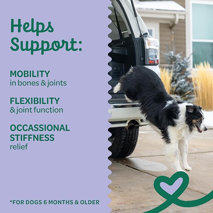 Wholesome Pride Hip & Joint Supplement for Dogs – 90 Soft Chews – Glucosamine, Chondroitin, MSM & Turmeric – Mobility Support & Arthritis Relief for Growing, Adult & Senior Dogs-Mewly Pet