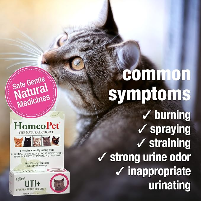 HomeoPet Feline UTI Plus, Safe and Natural Urinary Tract Supplement for Cats, Feline Urinary Tract Support, 15 Milliliters-Mewly Pet