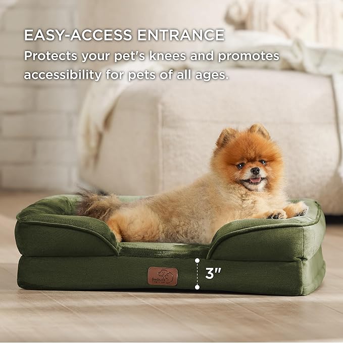 Bedsure Orthopedic Dog Beds for Small Dogs - Washable Small Dog Cat Bed Waterproof, Comfort Pet Couch Sofa with Washable Removable Cover, Pets Bed with Nonskid Bottom, Moss Green, 24"-Mewly Pet
