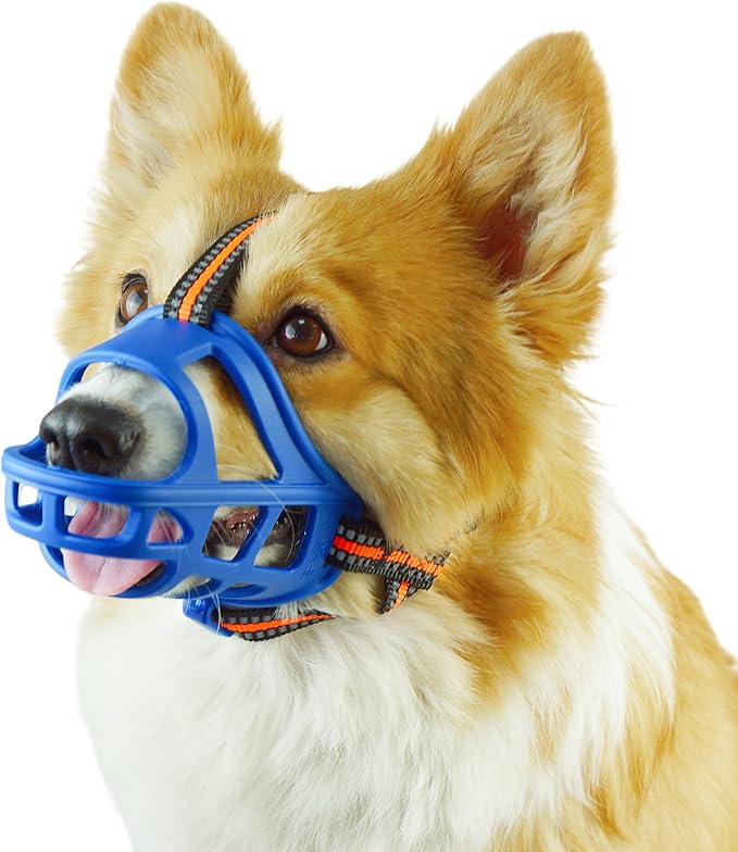 Dog Muzzle, Basket Muzzle for Small Medium Large Dogs, Anti-Biting and Chewing, Lightweight & Sturdy Cage Design, Allows Panting & Drinking, Ideal for Grooming & Training(Blue Size XL)-Mewly Pet