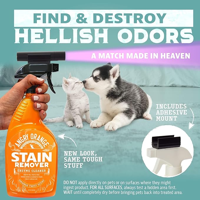ANGRY ORANGE Pet Stain Remover Kit for Dog Urine - Enzyme Cleaner - Citrus - 32 oz + UV Flashlight-Mewly Pet