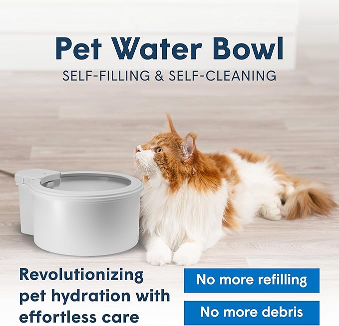 Always Full® 9" Pet Water Bowl and Wall Unit Bundle – Self-Refilling, Clean Filtered Water, Easy Home Connection, App-Enabled Hydration Tracking, Cat and Dog Water Bowls-Mewly Pet