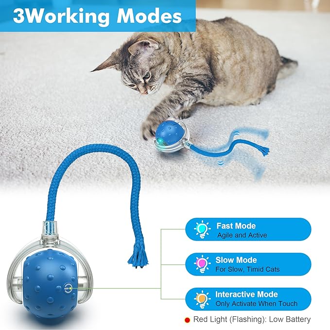 Cat Toys Ball for Indoor Cats - Interactive Automatic Cat Ball Toy | Fast Rolling & Motion Activated Chirping | Hide and Seek Mouse Catching Game | Stimulates Hunting Instinct (Blue)-Mewly Pet
