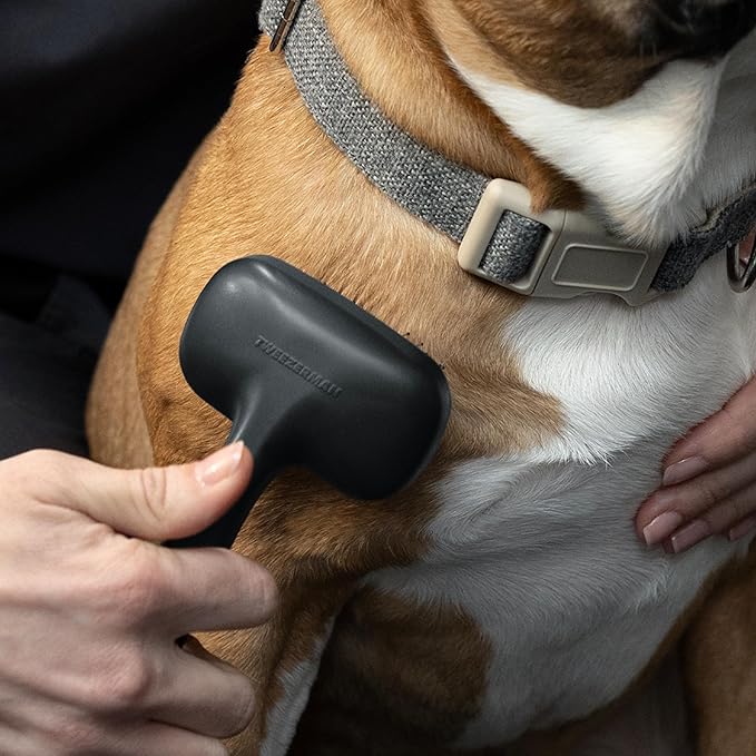 Tweezerman Dog and Cat Slicker Brush for Small Pets, Grooming Brush with Coated Bristles to Prevent Scratching and Ergonomic Handle-Mewly Pet