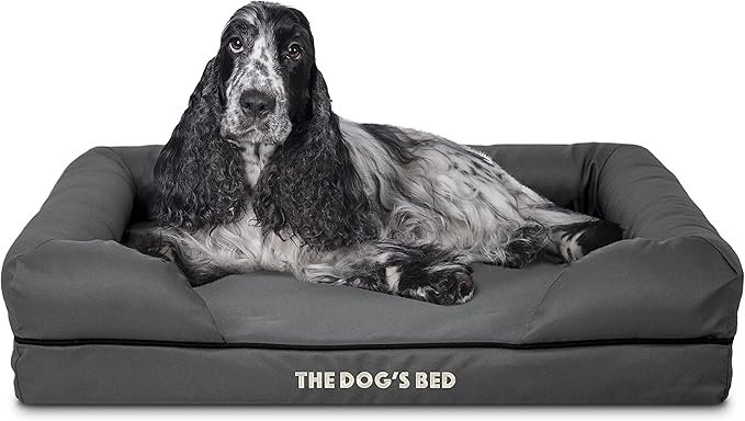 The Dog’s Bed Medium Oxford Grey 30x23.5, Memory Foam, Pain Relief: Arthritis, Hip & Elbow Dysplasia, Post Surgery, Lameness, Supportive, Calming, Waterproof Washable Cover, Veterinary Approved-Mewly Pet