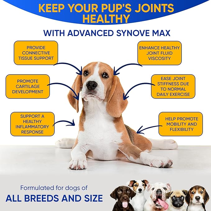 Synove Max Soft Chews for Dogs (240 Count) Beef Flavor, Joint Supplement, Glucosamine, Turmeric, Boswelllia serrata, Creatine Naturally Derived Ingredients better than synovi g4 soft chew-Mewly Pet