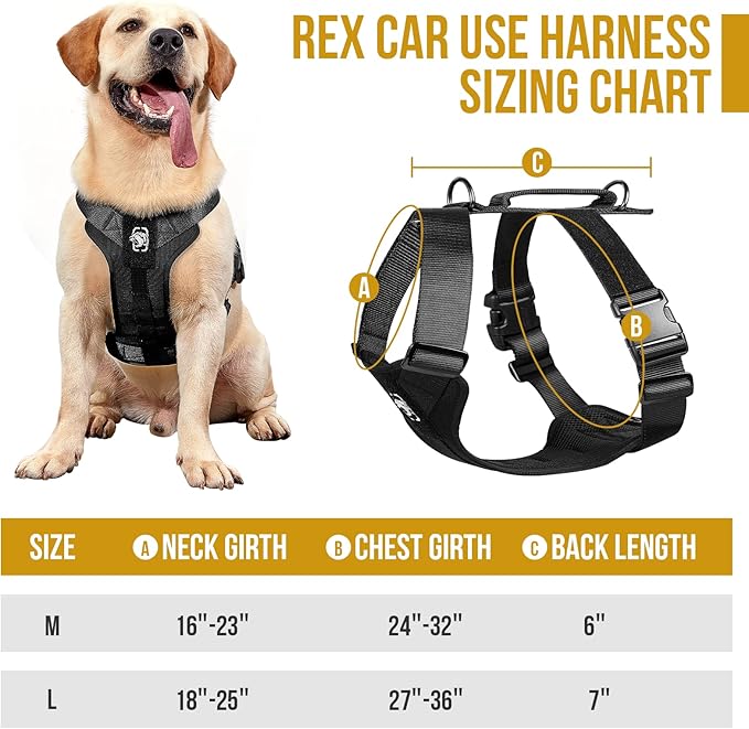 OneTigris Dog Safety Vest Harness, REX Car Use Dog Harness Adjustable Pet Harness with Leash for Medium Large Dogs(Black,M)-Mewly Pet