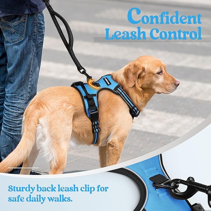 rabbitgoo Dog Harness No Pull with 2 Leash Clips, Adjustable Soft Padded, Reflective Oxford No Choke Pet Vest with Easy Control Handle for Large Dogs, Blue, L-Mewly Pet
