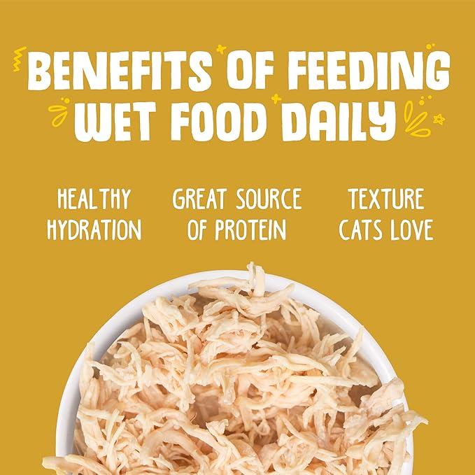 Weruva Classic Cat Food, Paw Lickin’ Chicken with Chicken Breast in Gravy, 3oz Can (Pack of 24)-Mewly Pet