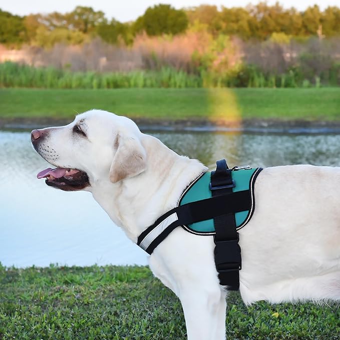 Dogline Dog Harness, Reflective No-Pull Adjustable Vest with Handle for Walking, Training, Breathable, No - Choke Harness for Small, Medium or Large Dogs Room for Patches Girth 27 to 34 in Turquoise-Mewly Pet