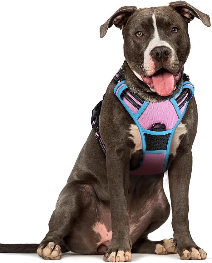 rabbitgoo Dog Harness No Pull with 2 Leash Clips, Adjustable Soft Padded, Reflective Oxford No Choke Pet Vest with Easy Control Handle for Large Dogs, Pink & Blue, L-Mewly Pet