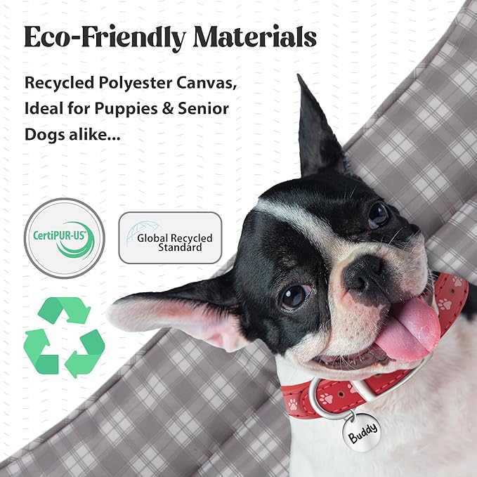 Orthopedic Bolster Dog Bed – CertiPUR-US Foam, Recycled Polyester Canvas, Washable Cover, Anti-Slip Bottom, Medium, Light Blue Check – Stylish Designer Dog Sofa-Mewly Pet