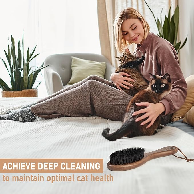 Takavu Boar Bristle Cat Hair Brush, Gentle Grooming Brush with Natural Bristles and Wooden Handle for Sensitive Skin, Pet Cleaning Supplies Keeping Your Cat's Fur Hair Coat Healthy and Shiny-Mewly Pet