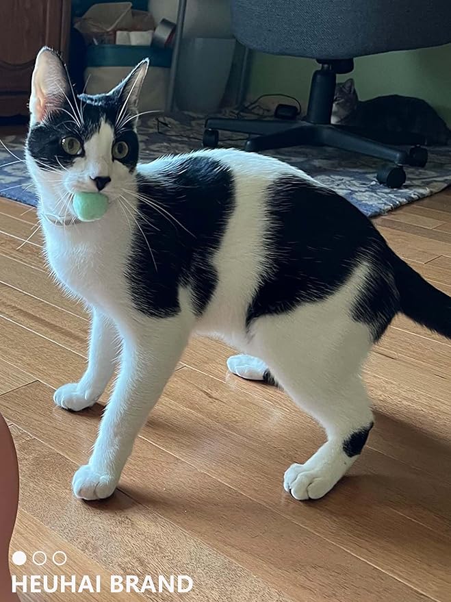 80-Pack Cat Toy Balls 10 Assorted Colors 1.25 Inch Diameter Suitable for All Cat Sizes (Cat Toys Value Pack)-Mewly Pet