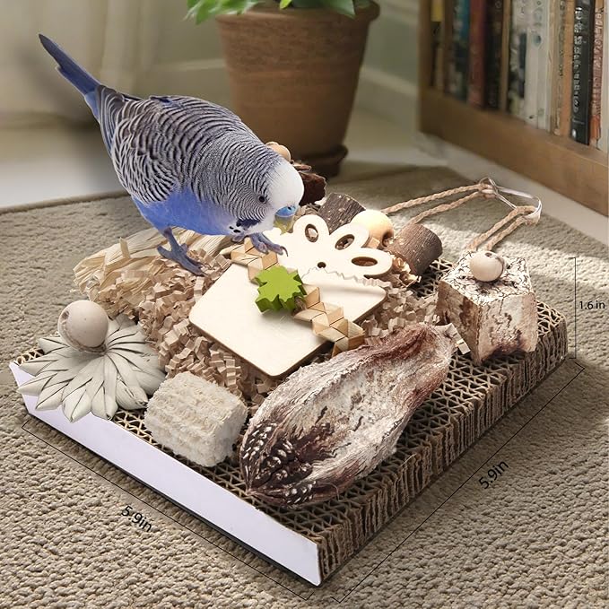 Kyouki Bird Toys, Parakeet Toys, Parrot Toy, Conure Hanging Chewable Cardboard Foraging Suitable for Budgies, Cockatiels, Lovebirds, Sun Conures - and Other Small/Medium Parrots (Medium)-Mewly Pet