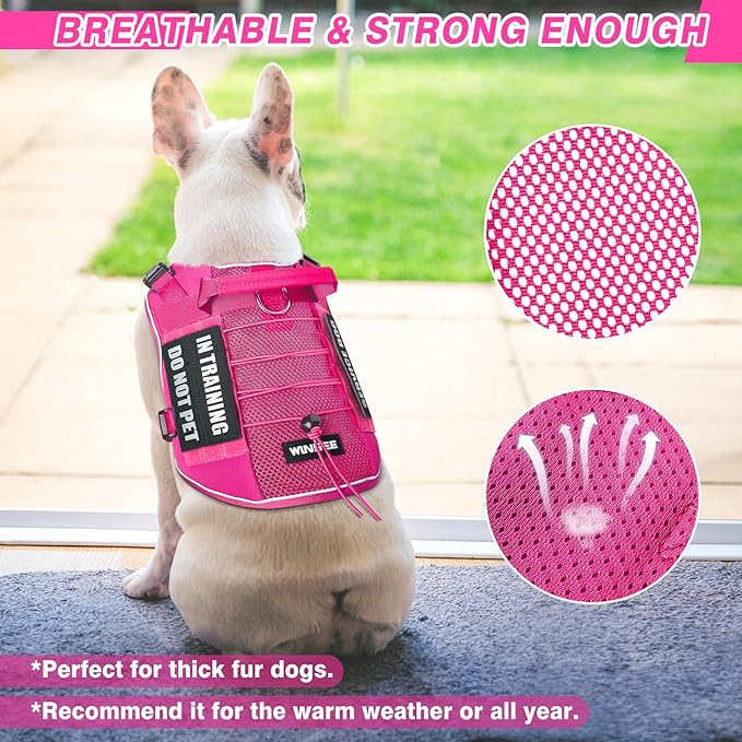 WINSEE Service Dog in Training Mesh Harness with 10 Pet Patches, Soft Air Mesh Breathable Tactical Dog Molle Vest, Reflective Military Pet Vest for Walking Hiking for Medium Dogs-Mewly Pet