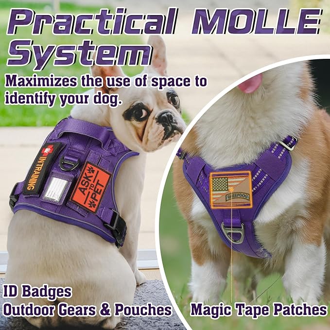 rabbitgoo Tactical Dog Harness for Large Dogs, No Pull Military Service Vest with Handle & Molle, Easy Control for Training Walking, Adjustable Reflective Straps, Purple, XL-Mewly Pet