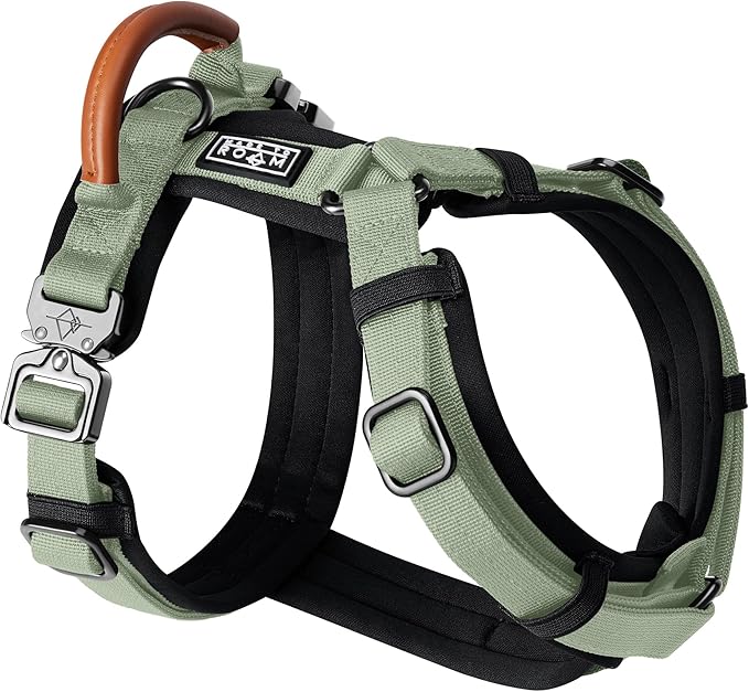 MADE TO ROAM Premium Explorer Harness - Y-Shaped Dog Harness with Adjustable Durable Nylon, Soft Padding, Metal Buckles and Leather Handle for Small, Medium, Large Dogs (Washington Rain, Size 2)-Mewly Pet