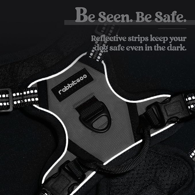 rabbitgoo Dog Harness No Pull with 2 Leash Clips, Adjustable Soft Padded, Reflective Oxford No Choke Pet Vest with Easy Control Handle for Puppy, Grey, XS-Mewly Pet