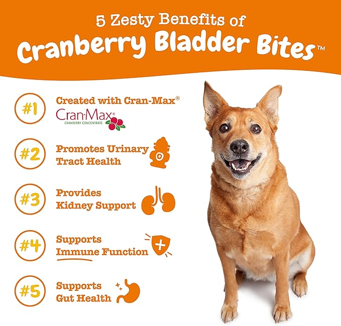 Zesty Paws Cranberry Supplement for Dogs - Bladder Control for Dogs - Urinary Tract Support - Cranberry Chews with D-Mannose, Vitamin B6 & L-Arginine - Immune & Gut Support - Bacon - 90 Count-Mewly Pet