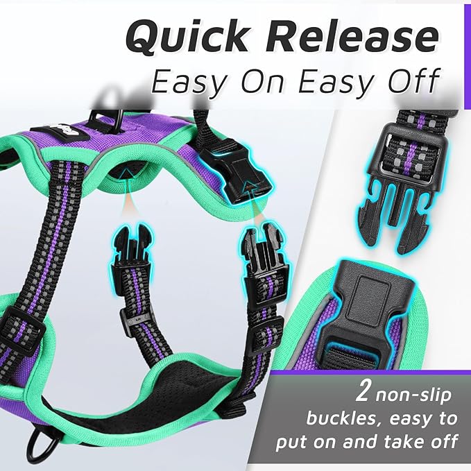 Eagloo Small Dog Harness No Pull, Service Vest with Reflective Strips and Control Handle, Adjustable and Comfortable for Walking, No Choke Pet Harness with 2 Metal Rings, Purple & Green, XS-Mewly Pet