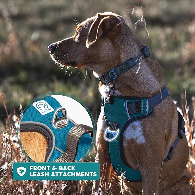 Embark Adventure Dog Harness, Reflective Trim No Pull Dog Harness Medium Sized Dogs - Military Grade Nylon, Front Clip with Gel Lined Handle.-Mewly Pet