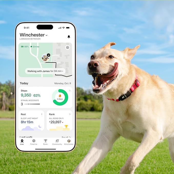 New Fi Series 3+ Smart Dog Tracker Collar – AI GPS for Dogs, Health & Behavior Monitor, Virtual Fence, Escape Alerts, Waterproof, Apple Watch Compatible 12Mo Membership Included-Mewly Pet
