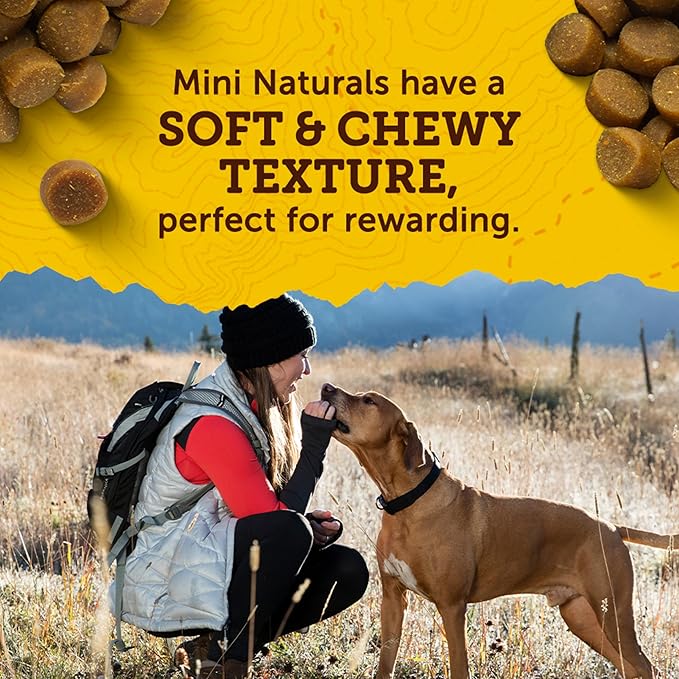 Zuke’s Mini Naturals Dog Training Treats for Dogs of All Sizes, Pet Treats made with Real Chicken - 10 oz. Pouch