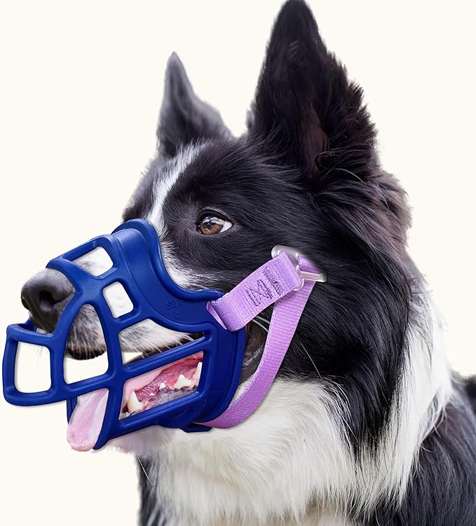 Basket Muzzle Allows Panting Drinking - Anti Biting Chewing, Suitable for Grooming Trimming Training, for Small Medium Large Dogs (Blue, Size 6)-Mewly Pet