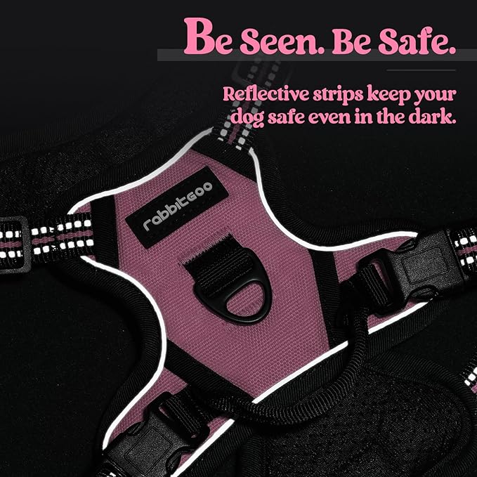 rabbitgoo Dog Harness No Pull with 2 Leash Clips, Adjustable Soft Padded, Reflective Oxford No Choke Pet Vest with Easy Control Handle for Puppy, Pink, XS-Mewly Pet