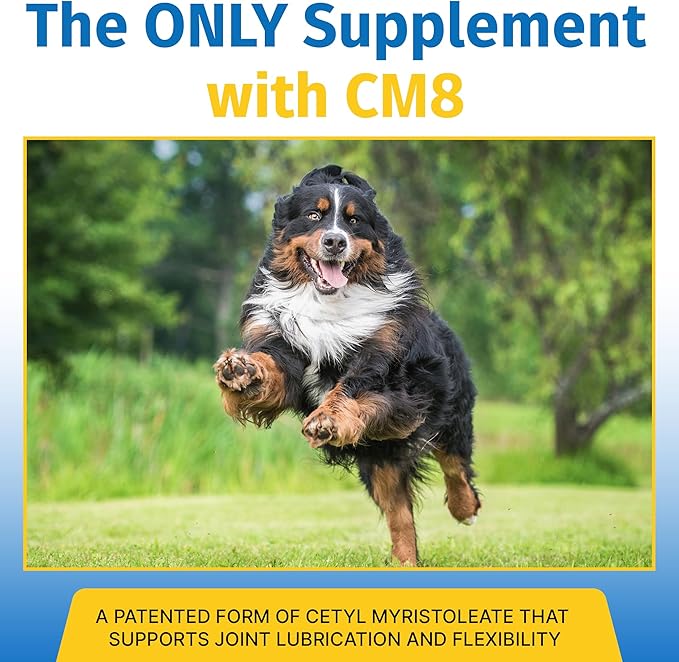 Hip & Joint Supplement for Dogs & Cats with Cetyl Myristoleate, Glucosamine, Collagen, MSM - Advanced Joint Support for Mobility, Senior Pets, Small & Large Breeds - 60 Chews (Pork Liver)-Mewly Pet