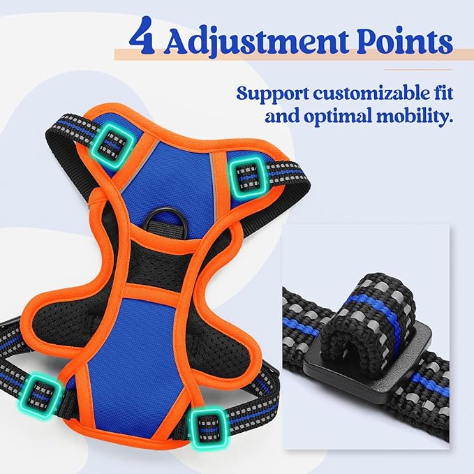 rabbitgoo Dog Harness No Pull with 2 Leash Clips, Adjustable Soft Padded, Reflective Oxford No Choke Pet Vest with Easy Control Handle for Puppy, Blue & Orange, XS-Mewly Pet