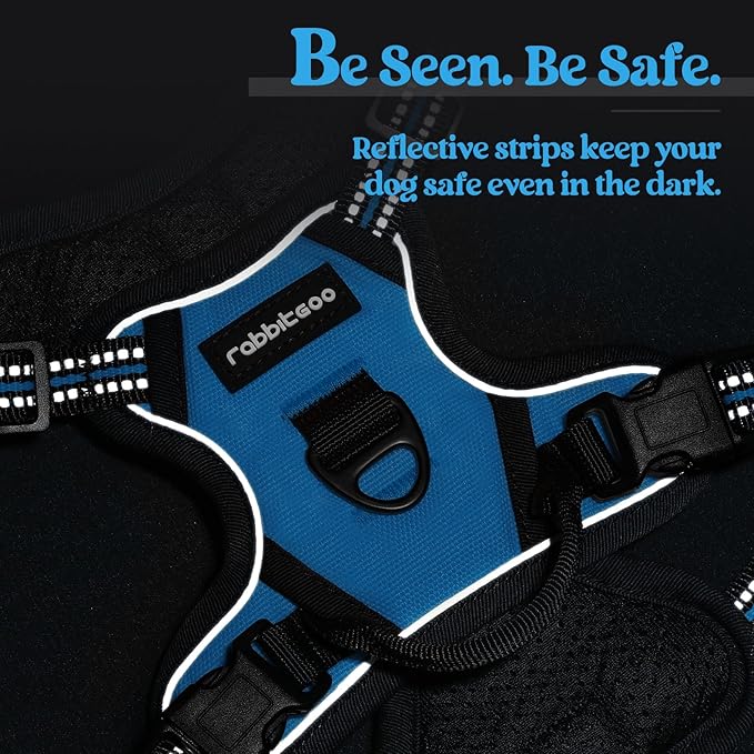 rabbitgoo Dog Harness No Pull with 2 Leash Clips, Adjustable Soft Padded, Reflective Oxford No Choke Pet Vest with Easy Control Handle for Puppy, Blue, XS-Mewly Pet