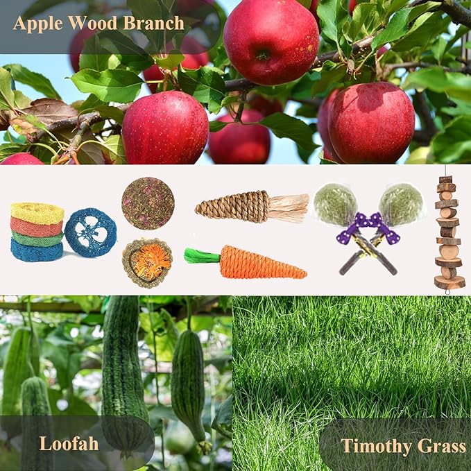 Grddaef 18 PCS Bunny Toys, Rabbit Toys Guinea Pig Toy Natural Apple Wood Grass Timothy Sticks Chew and Treat for Guinea Pigs Hamster Chinchillas-Mewly Pet
