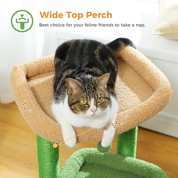 PEQULTI Cat Tree Cactus Cat Tower for Indoor Cats with Private Cozy Cat Condo, Natural Sisal Scratching Posts and Plush Pom-pom for Small Cats Green-Mewly Pet