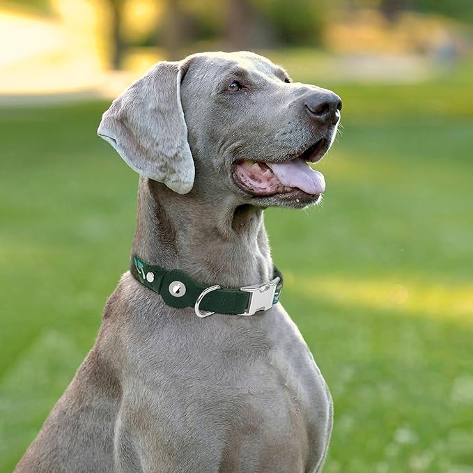 AirTag Dog Collar for Small Medium Large Breed - Adjustable Cute Pattern Dog Collar with Airtag Holder - Soft Leather Tracker GPS Apple Air Tag Pet Collars (Large, 17"-21" Neck Fit, Mushroom)-Mewly Pet