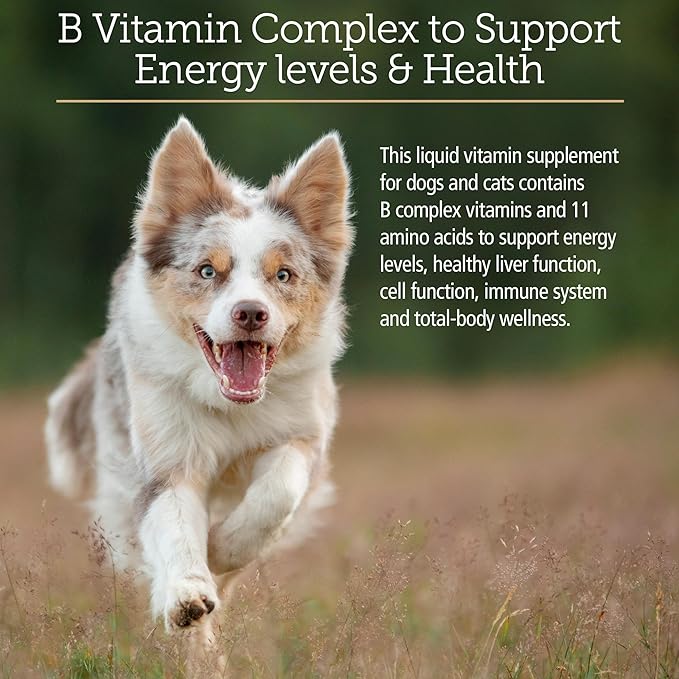 Rx Vitamins Amino B-Plex Cat & Dog Supplement - Vitamin B Complex Liquid Plus Amino Acids for Dogs & Cats - Appetite Booster and Cat & Dog Weight Gainer - Supplements & Vitamins - 8 oz-Mewly Pet