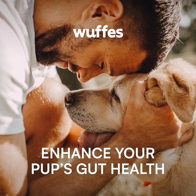 Wuffes Daily Probiotic for Dogs - Supports Digestive Health, Gut Balance, and Immune System - with Prebiotics, Marshmallow Root, and Pumpkin Powder (120 Chews (Pack of 2))-Mewly Pet